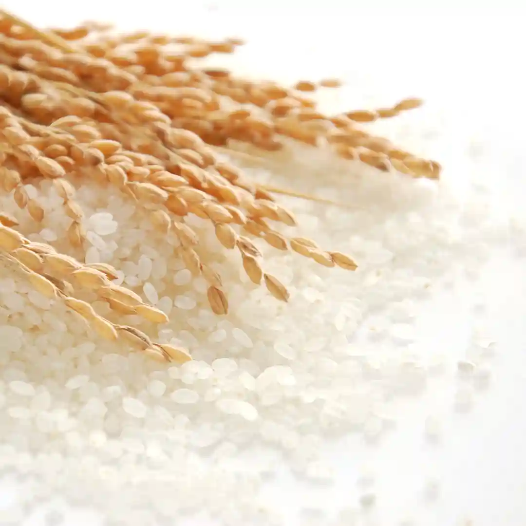 米粉のこだわり