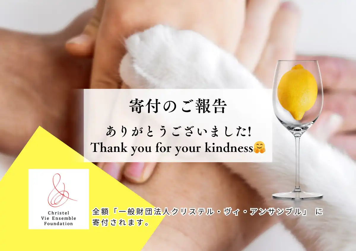 【寄付のご報告】レモンコインチャレンジおよび優しさギフト